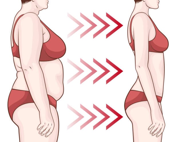 Fat Burner For Women My Store 